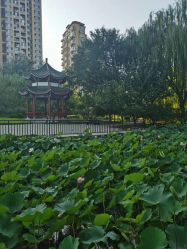 -宝馨月月子中心(友谊医院店)