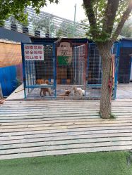 -萌宠亲子动物乐园(槐房万达店)