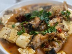 -煲来饱去冷水鱼