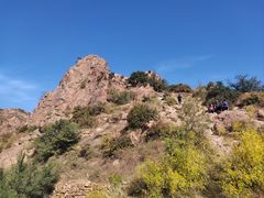 -红山国家森林公园