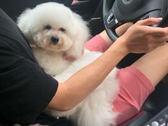 -萌兽医馆·宠物医院·猫骨科(创景店)