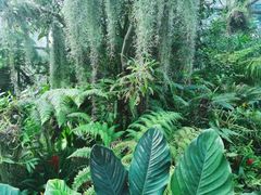 -东莞植物园