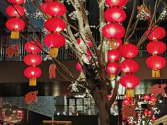 -顺风海鲜港(长寿路店)