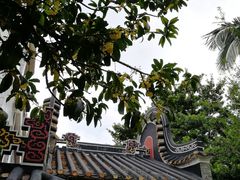 -碧江金楼