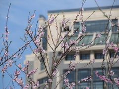 -上海海洋大学(临港校区)