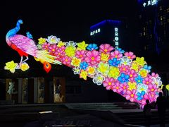 -武汉园博园(武汉自然博物馆)