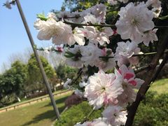 -重庆彩云湖湿地公园