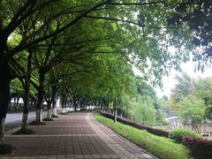 -西南政法大学(渝北校区)