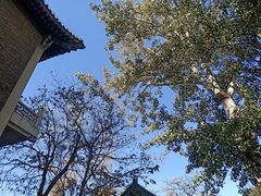 -国家图书馆·古籍馆