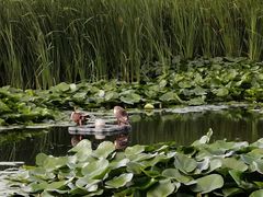 -前关湿地公园