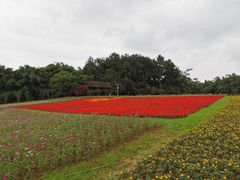 -保利石象湖景区
