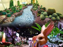 -正佳雨林生态植物园