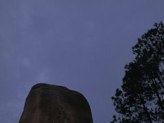 -铁山坪森林公园