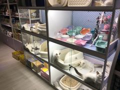 -喵的天空名猫咖啡馆·撸猫·猫舍·用品