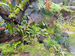 -北京植物园-展览温室