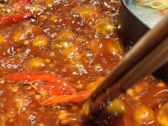 -阳阳老火锅(小南门店)