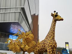 -上海长风大悦城