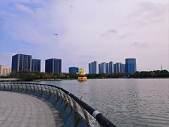 -南翔镇银翔湖公园