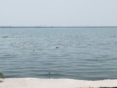 -渔娘蟹庄(阳澄湖莲花岛店)