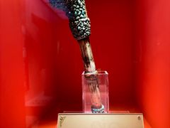 -迪庆藏族自治州博物馆