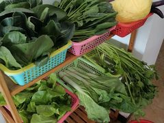 -品雅轩农家乐