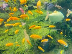 -珠海长隆海洋王国