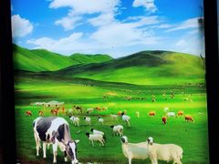 -额尔敦传统涮火锅·冰煮羊(铁东店)