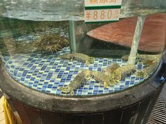 -寻味顺德·顺峰山庄(大良店)