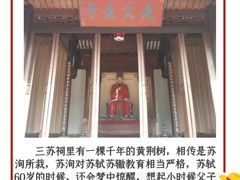 -三苏祠