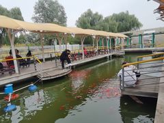 -石家庄市植物园