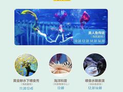 -西安曲江海洋极地公园
