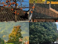 -塔川景区