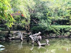 -汇龙潭