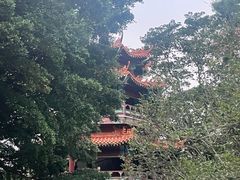 -神光山国家森林公园