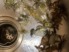 -青岛第三海水浴场