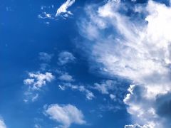 景点-上海当代艺术博物馆