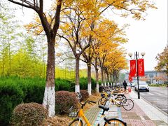 -南京财经大学(仙林校区)