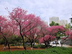 -白塘生态植物园