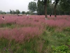 -汉长安城未央宫国家考古遗址公园