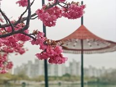 -大宁公园