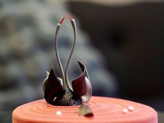 -CAKE BOSS 蛋糕老板(西单君太百货店)