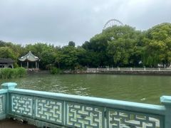 -贡湖湾湿地公园