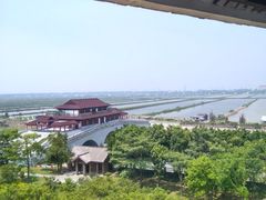 -大湾区中央湿地公园