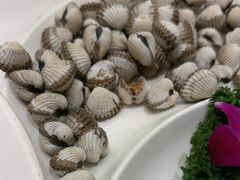 -国惠大酒楼(宝龙店)