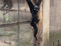 -昆明动物园