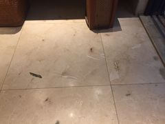 -三亚亚龙湾雅高铂尔曼别墅度假酒店