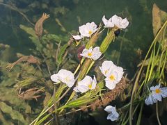 -丽江泸沽湖景区