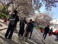 -山东师范大学(千佛山校区)