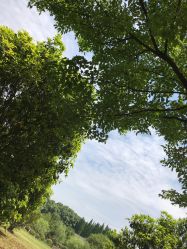 -珍珠泉水上世界