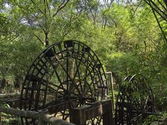 -大屏嶂森林公园
